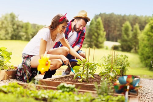 Image representing a gardening service issue being assessed
