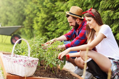 Accessible Gardeners Mitcham statement introduction