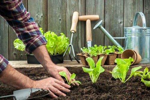 Gardening services in Mitcham for tidy lawns and healthy plants