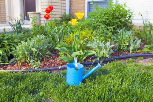 Front yard landscaping in Mitcham with tidy garden beds and pathways