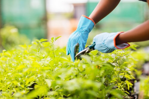 Gardeners sorting green waste for recycling in Mitcham
