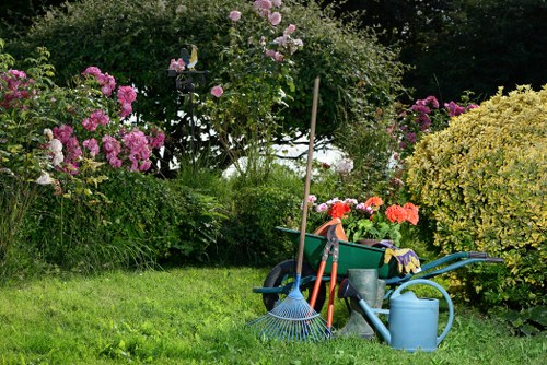 A neatly maintained residential lawn in Mitcham with fresh green grass
