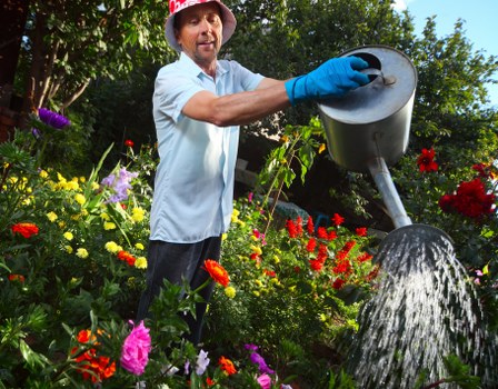Seasonal garden maintenance in Mitcham with pruning and clean-up