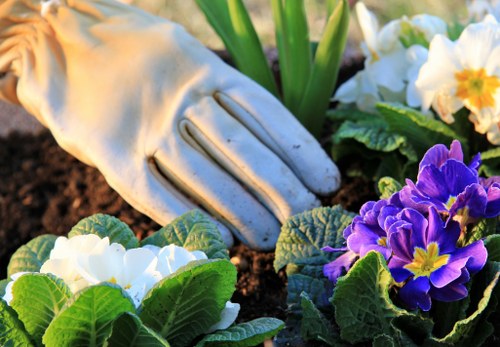 Professional lawn mowing service in Mitcham suburb