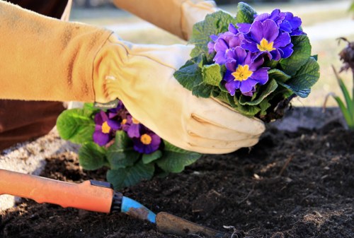 Professional garden maintenance in Mitcham with hedge trimming and planting