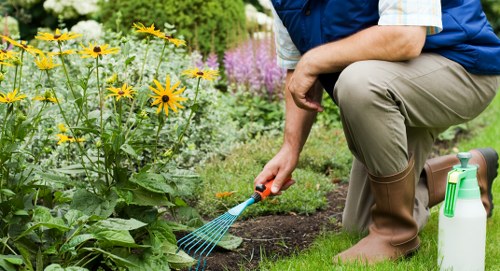 Professional lawn care work in Mitcham focusing on healthy turf and soil