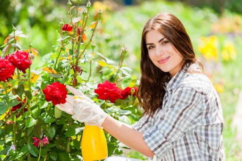 Professional garden care tasks in a Mitcham backyard