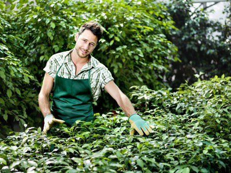 Gardener mowing a family yard in Mitcham