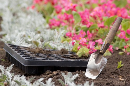 Professional hedge maintenance shaping a dense suburban hedge in Mitcham