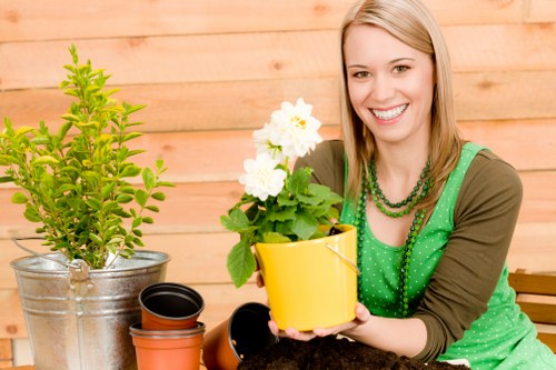 Professional landscaping planning for a Mitcham property