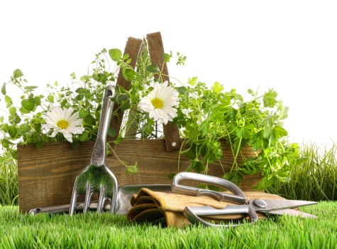 Garden materials being prepared for reuse and recycling