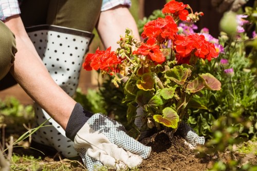 Screen-reader compatible gardening content in Mitcham