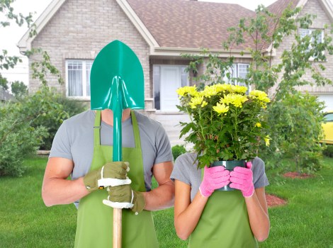 Seasonal gardening services in Mitcham for garden upkeep