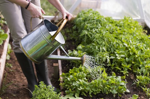 About Us Gardeners Mitcham delivering reliable garden care and improvement