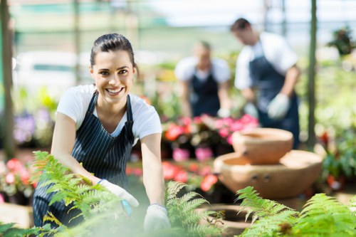Mitcham backyard landscaping with paving, planting, and lawn areas