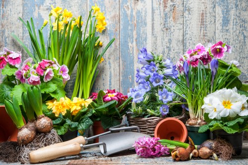 Lawn and garden upkeep in Mitcham with neat, well-kept landscaping