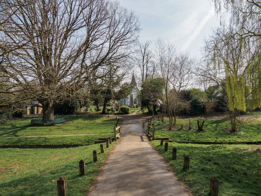 A tranquil small garden scene showing a narrow, paved walkway leading towards a church at the distance, framed by leafless trees and green shrubbery. The garden features neatly maintained grass lawns 